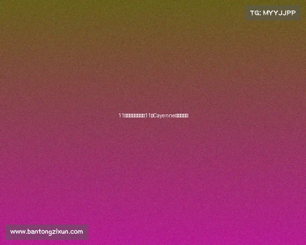 11万多圆梦保时捷！11年Cayenne还能战否？